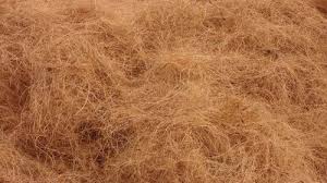 golden brown coconut coir fiber