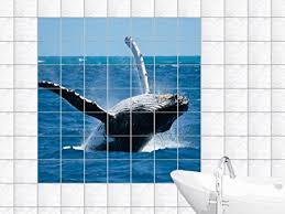 Marble bright ceramic bathroom tile, Size : 1000 x 1000mm, 300 x 300mm, 300 x 450mm, 400 x 400mm