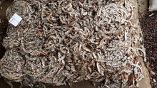 SITCO Open Air seedless tamarind, Shelf Life : 6 Months