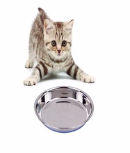 Rounded STAINLESS STEEL Food Cat Bowls, Size : Customized Size
