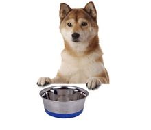 Stainless Steel PET Dish Bowl