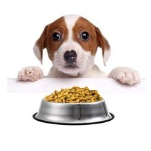 Stainless Steel PET Product Rubber Ring PET Bowls