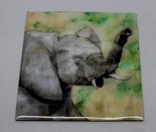 BABY ELEPHANT Art  Wooden Coaster