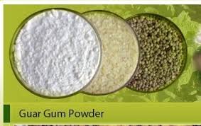 Ricol Guar Gum, Form : Fine Powder