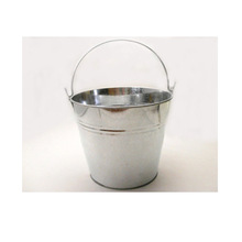 Tin bucket for dairy use