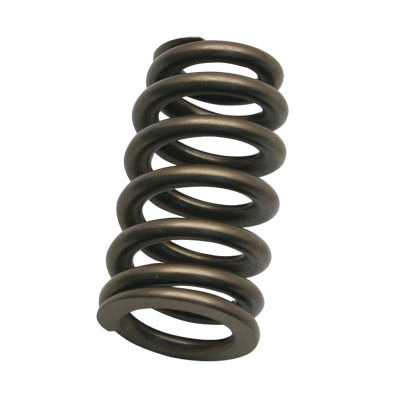 Valve Spring