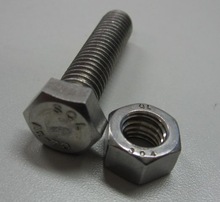 Hex Bolts with Nut