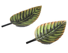 Exclusive Set of 2 leaf shaped platters