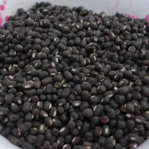 Black Lentils Urad Dal