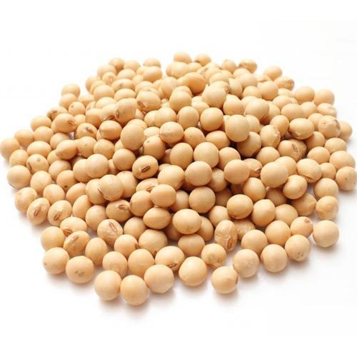 Fresh Soybean Seeds