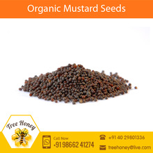Tree Honey Raw black mustard seeds, Packaging Type : Bulk, Can (Tinned)