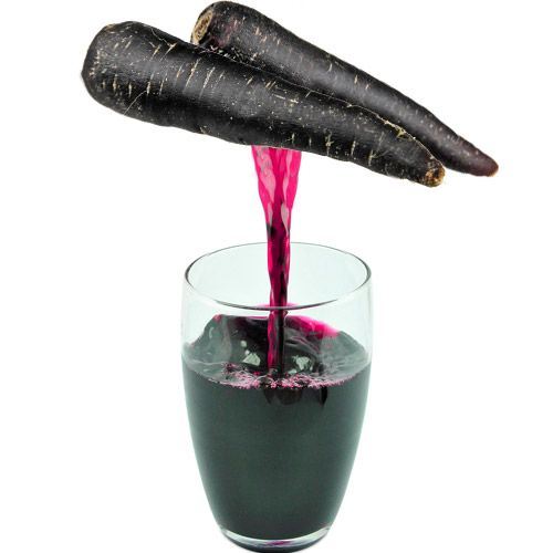 Black Carrot Juice Concentrate
