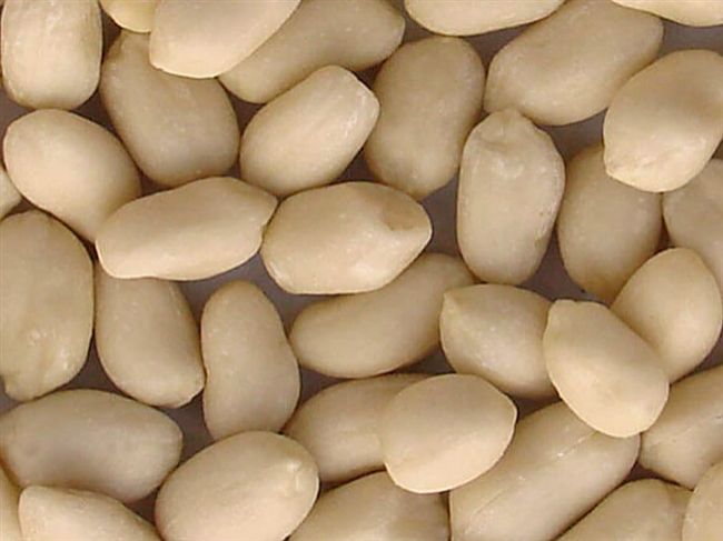 blanched peanuts