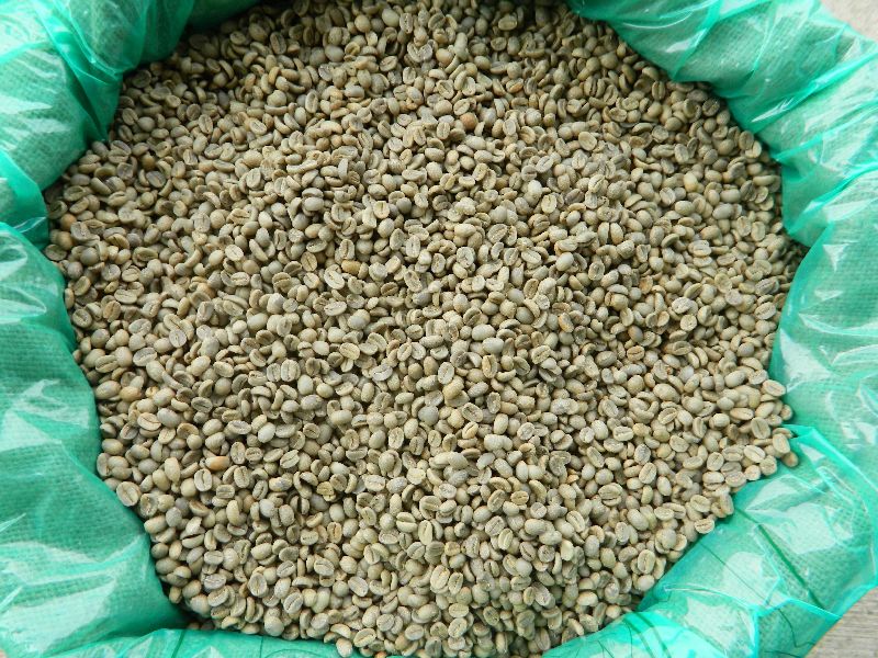 specialty green coffee beans
