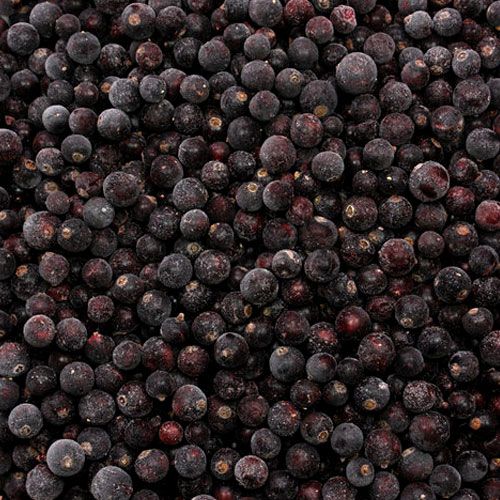 IQF Whole Blackcurrants