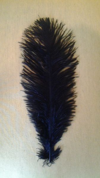 Natural Ostrich Feathers
