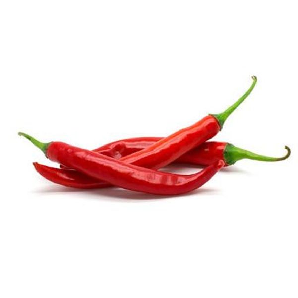 Common Indian Dry Red Chilli, Packaging Type : Gunny Bags