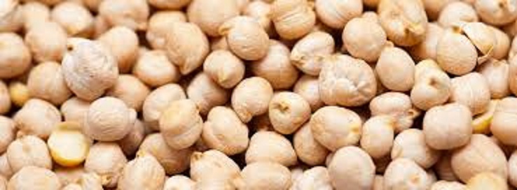 Comman Indian Kabuli Chick Peas, Packaging Type : Bulk Packing