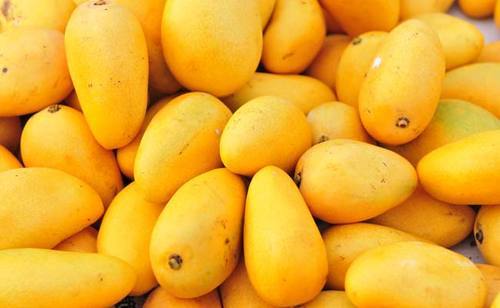 Fresh Mangoes