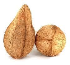 Natural fresh coconut, Variety : Organic