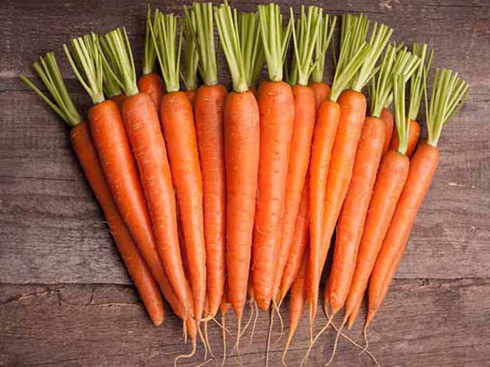 Common Fresh Carrot, Packaging Type : Plastic Bag or Polythene Bag