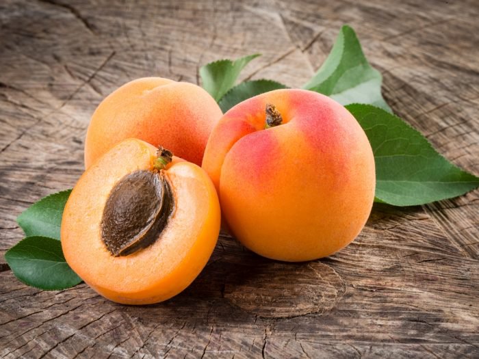 Fresh Apricot