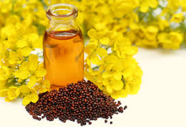 Organic Mustard Oil, Packaging Type : 5ltr, 1 Ltr, 15 Kg