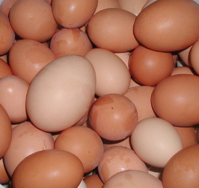 Eggs Brown Chicken
