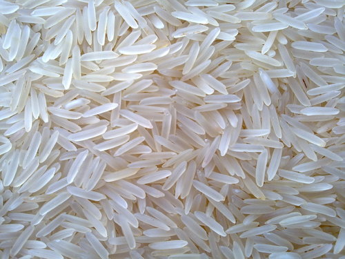 Hard Common 1121 basmati rice, Style : Dried, Fresh, Frozen, Parboiled, Steamed