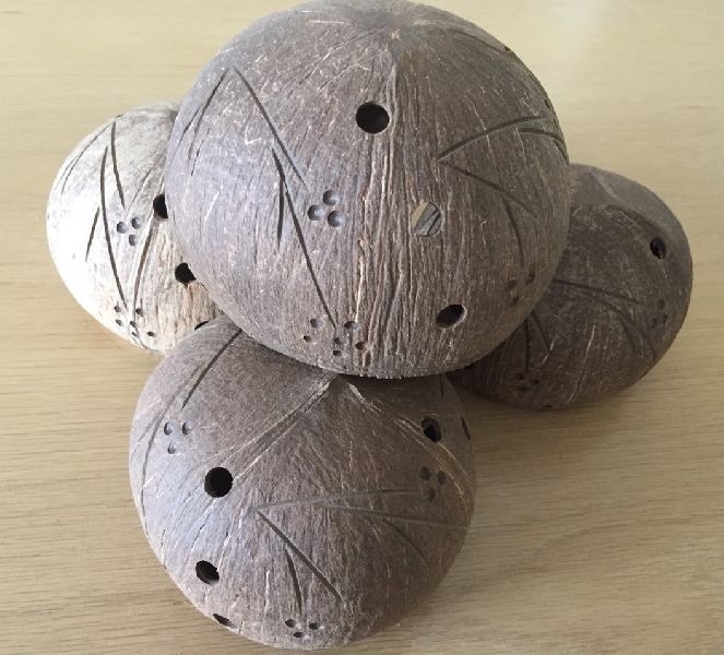 Coconut Shell Pot Planting