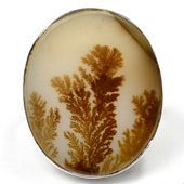 Scenic Dendritic Agate