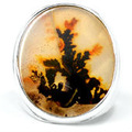 Scenic Dendritic Agate Ring