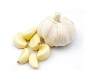 Garlic Spices