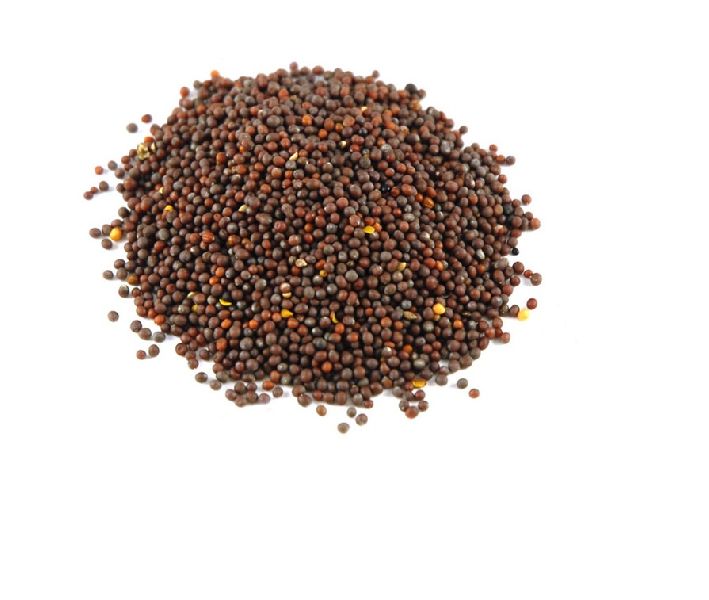 mustard seed