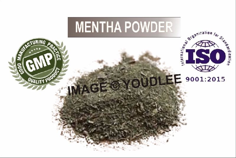 Organic Mentha Powder