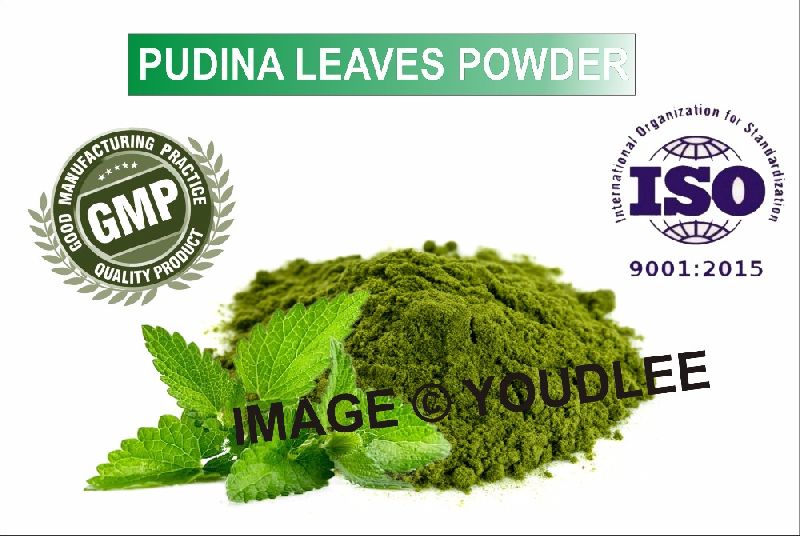 pudina leaves powder