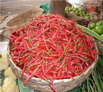 YOUDLEE RED CHILLI Spices, Style : Fresh