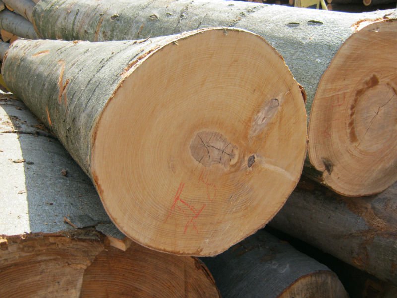 ABC Wood beech ash oak