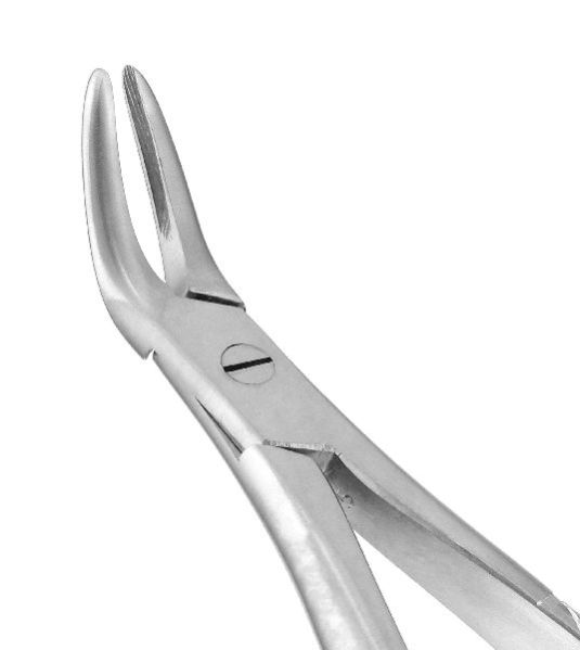 English Pattern Extracting Forceps