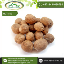 Grade Nutmeg Jumbo