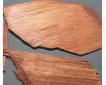 Pterocarpus marsupium wood