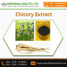 Purity Bulk Chicory Root Extract Powder, Packaging Type : Drum