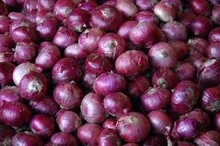 fresh onion