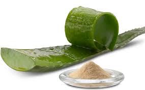 Aloe Vera Extract, Grade : Superior