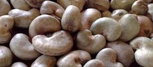Cashew nut, Packaging Type : 25