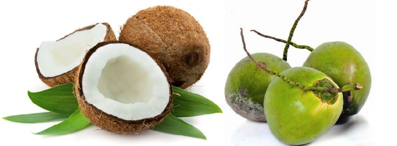 Fresh Coconuts