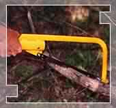 Pruning Saw