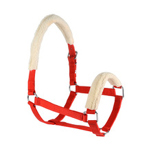 Halter with Lead Rope