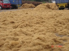 Coconut coir Natural fibre