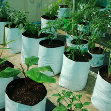 Coir Pith growbags for Organic Planting, Form : Block